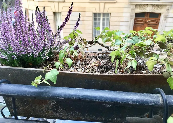 Charming Bedroom Homestay *