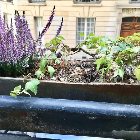 Charming Bedroom منزل للإقامة *